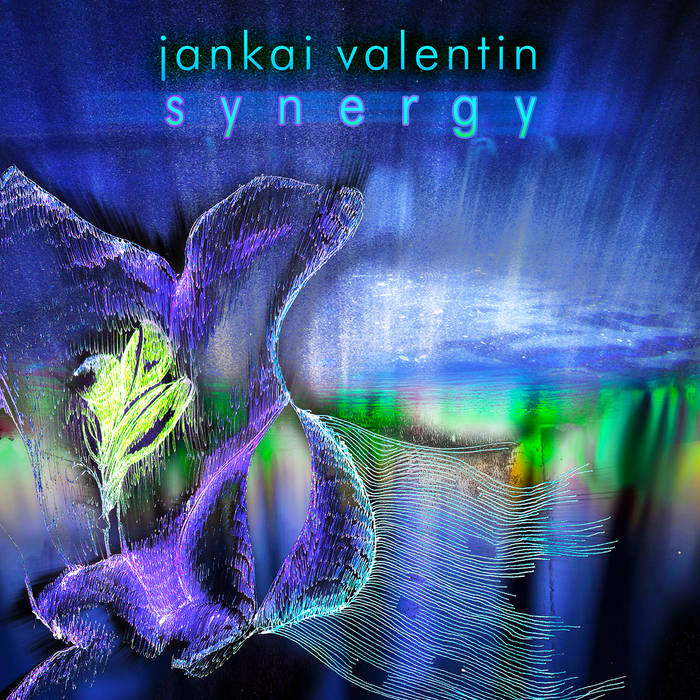 Jankai Valentin: Synergy